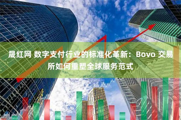 晟红网 数字支付行业的标准化革新：Bovo 交易所如何重塑全球服务范式