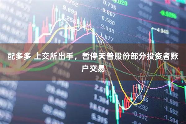 配多多 上交所出手，暂停天普股份部分投资者账户交易