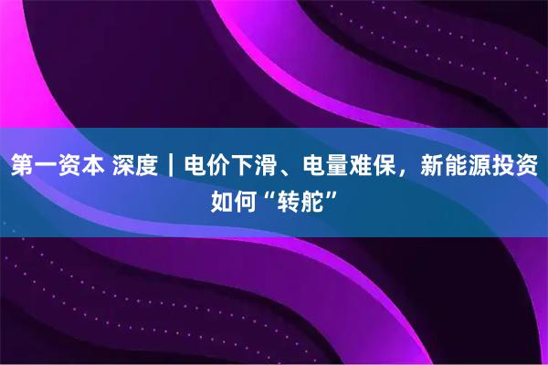 第一资本 深度｜电价下滑、电量难保，新能源投资如何“转舵”